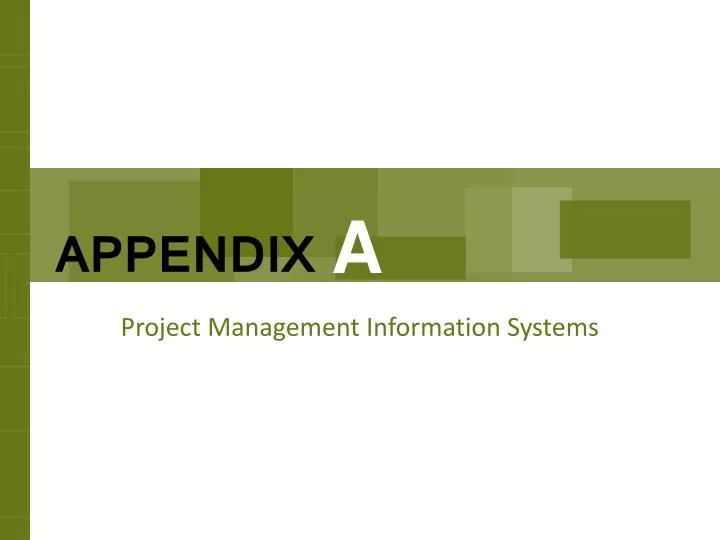 project management information systems