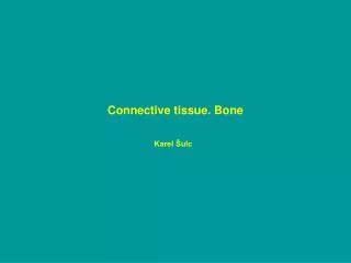 Connective tissue. Bone