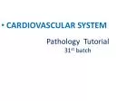 Pathology Tutorial 31 st batch - slide 1