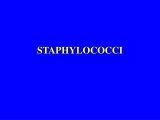 STAPHYLOCOCCI