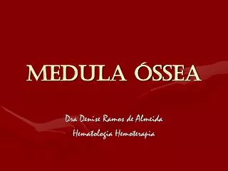 medula ssea