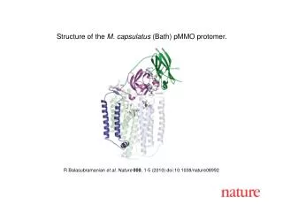 R Balasubramanian et al . Nature 000 , 1 - 5 (2010) doi:10.1038/nature08 992