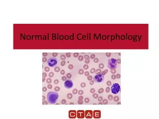 Normal Blood Cell Morphology