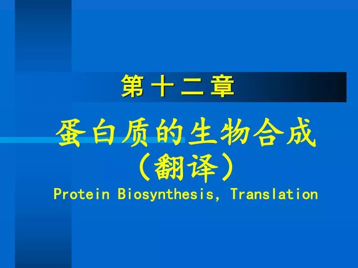 protein biosynthesis translation