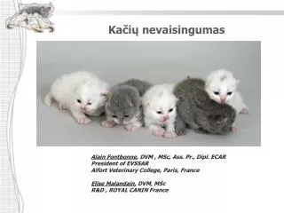 ka i nevaisingumas