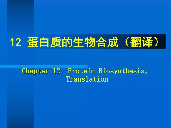 12 chapter 12 protein biosynthesis translation