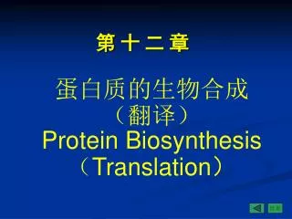 protein biosynthesis translation