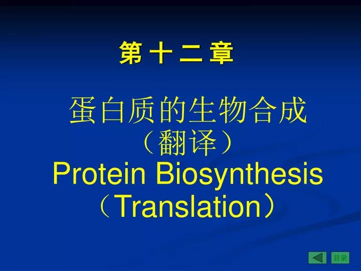 protein biosynthesis translation