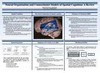 Neural Organization and Connectionist Models of Spatial Cognition: A Review