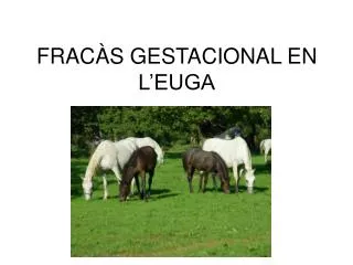 frac s gestacional en l euga