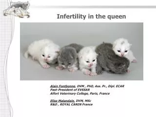 Infertility in the queen