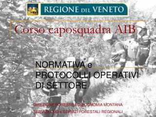 corso caposquadra aib