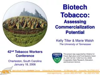 Biotech Tobacco: Assessing Commercialization Potential