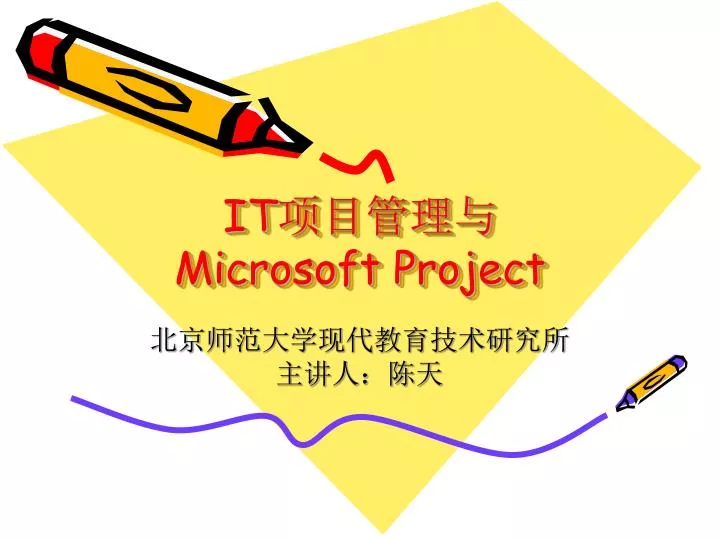it microsoft project