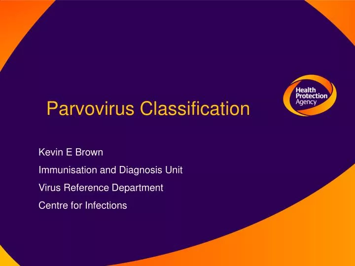 parvovirus classification