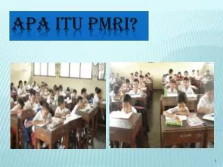 apa itu pmri