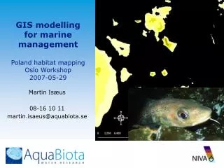 GIS modelling for marine management Poland habitat mapping Oslo Workshop 2007-05-29