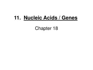 11. Nucleic Acids / Genes
