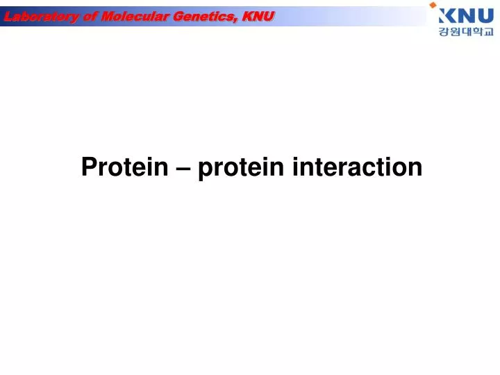protein protein interaction