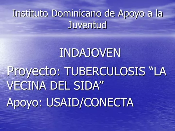 instituto dominicano de apoyo a la juventud