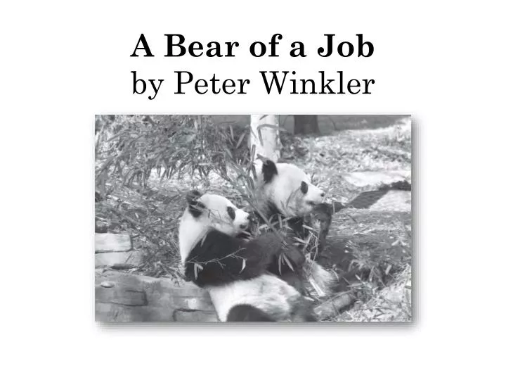 a bear of a job by peter winkler