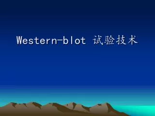 western blot