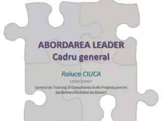 abordarea leader cadru general