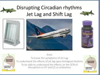 Disrupting Circadian rhythms Jet Lag and Shift Lag