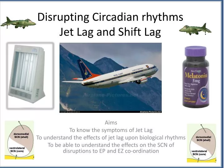 disrupting circadian rhythms jet lag and shift lag