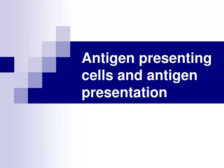 antigen presenting cells and antigen presentation