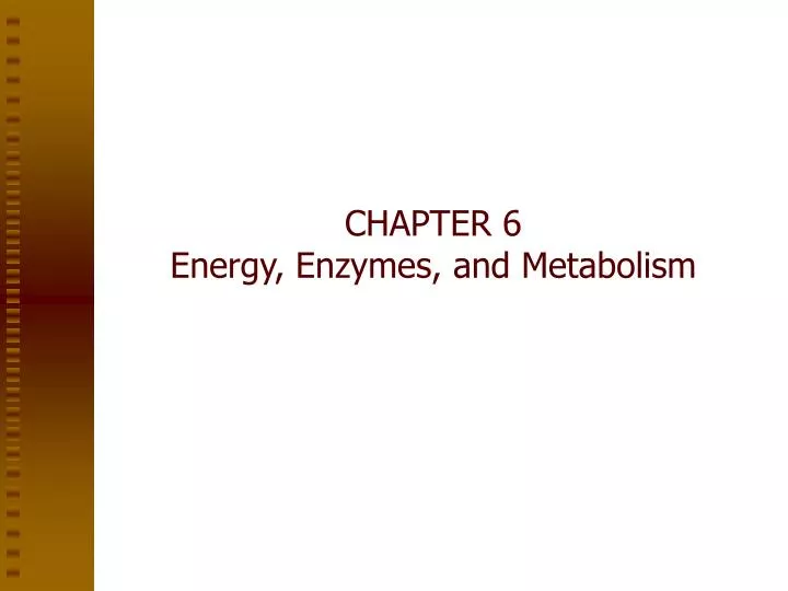 chapter 6 energy enzymes and metabolism