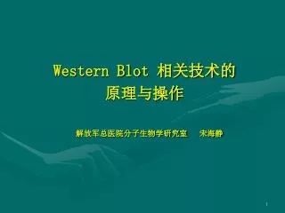 western blot