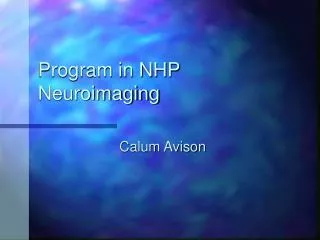 Program in NHP Neuroimaging