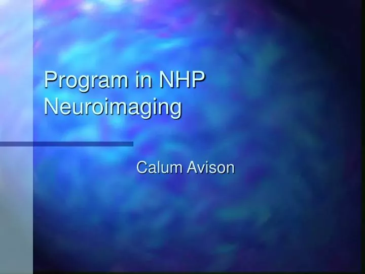 program in nhp neuroimaging