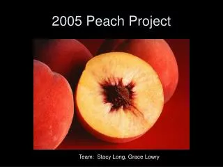 2005 Peach Project