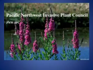 Pacific Northwest Invasive Plant Council