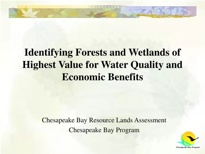 identifying forests and wetlands of highest value for water quality and economic benefits