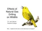 Effects of Natural Gas Drilling on Wildlife
