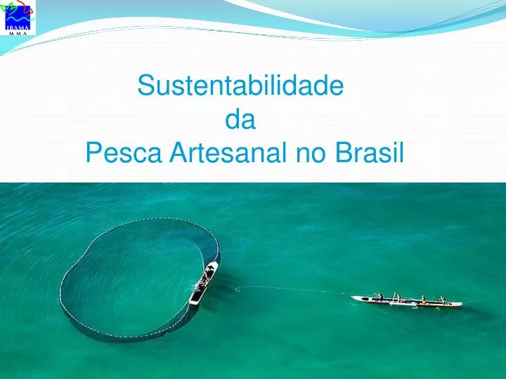 sustentabilidade da pesca artesanal no brasil