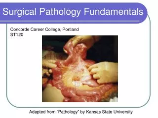 Surgical Pathology Fundamentals