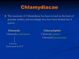 Chlamydiacae