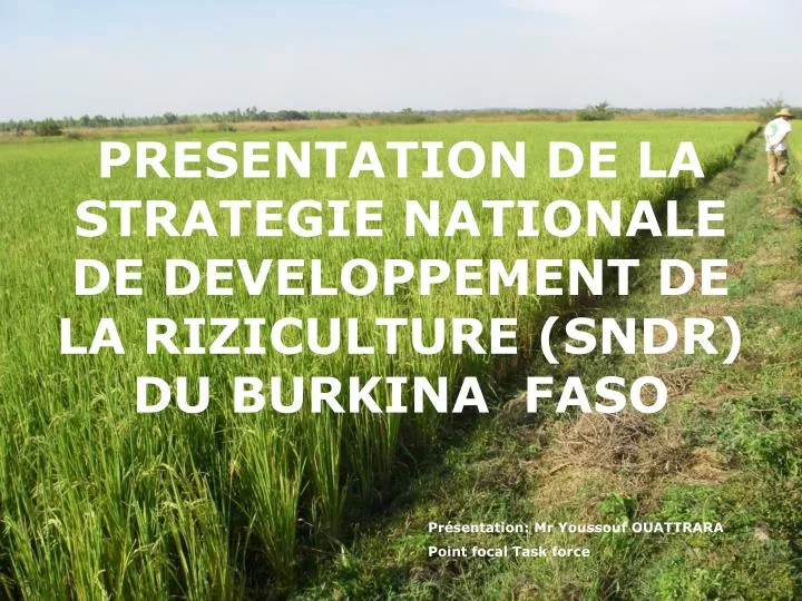 presentation de la strategie nationale de developpement de la riziculture sndr du burkina faso