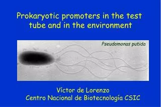 Prokaryotic promoters in the test tube and in the environment