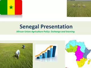 Senegal Presentation African Union Agriculture Policy Exchange and learning