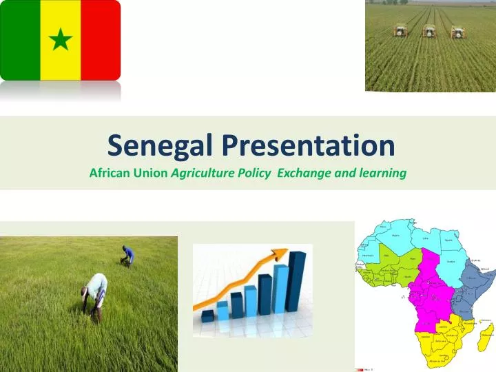 senegal presentation african union agriculture policy exchange and learning