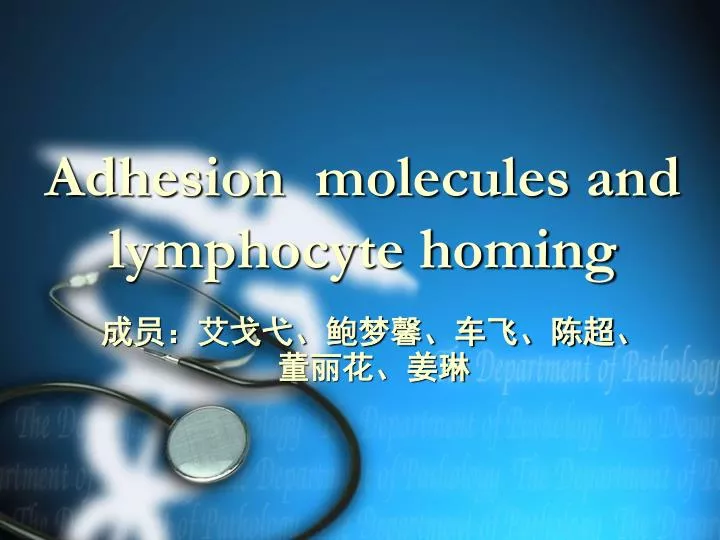 adhesion molecules and lymphocyte homing