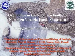Ground ice in the Northern Foothills (Northern Victoria Land, Antarctica)