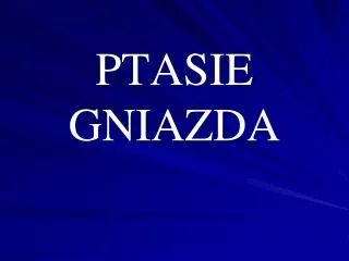 ptasie gniazda