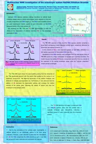Multinuclear NMR investigation of the anisotropic system NaDNA/Ethidium Bromide