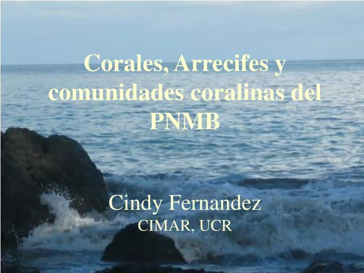 corales arrecifes y comunidades coralinas del pnmb cindy fernandez cimar ucr